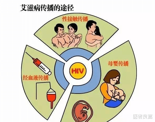 艾滋病 艾滋病源自非洲大猩猩，它们是如何将病毒传染给人类的？