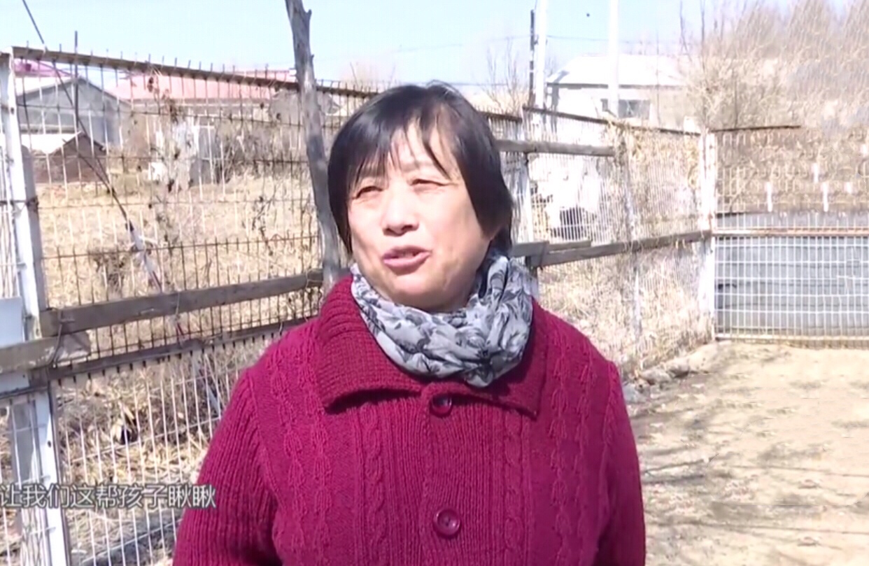 清白路人|老实大爷相亲，被大妈要彩礼和3金，网友：我也是女人我都看不惯