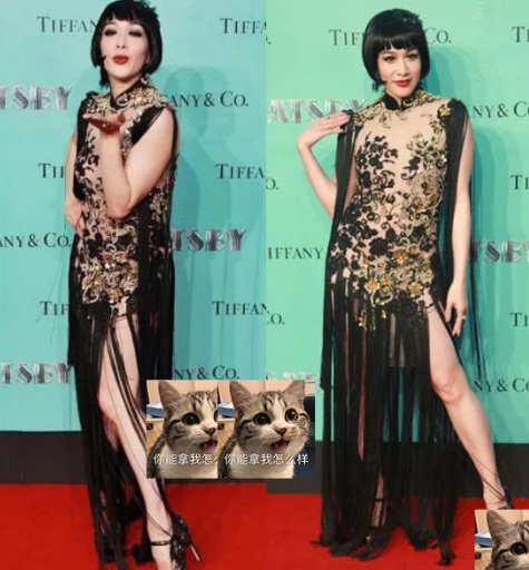 穿衣搭配|盘点中年女明星红毯“作妖记”，社会你大姐，没啥不敢穿