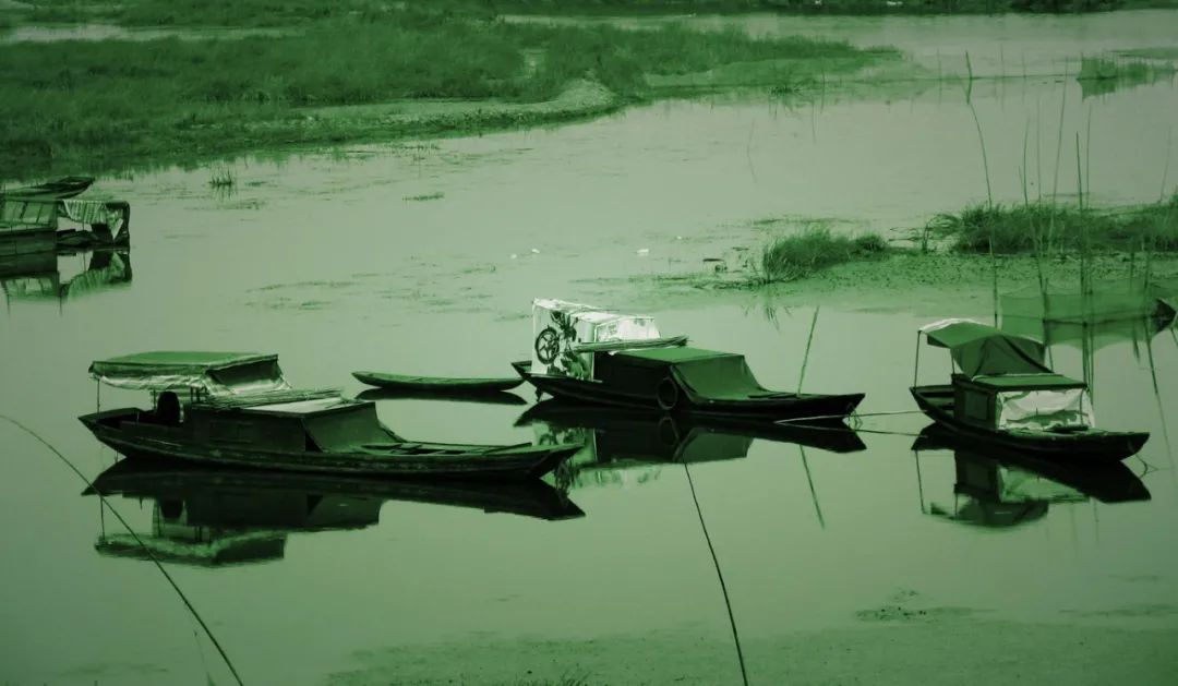 |钓鱼是一场杀戮。