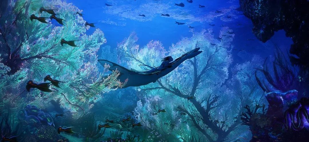 海王2|《海王2》与《阿凡达2》同日争票房，你会选择先看哪部？