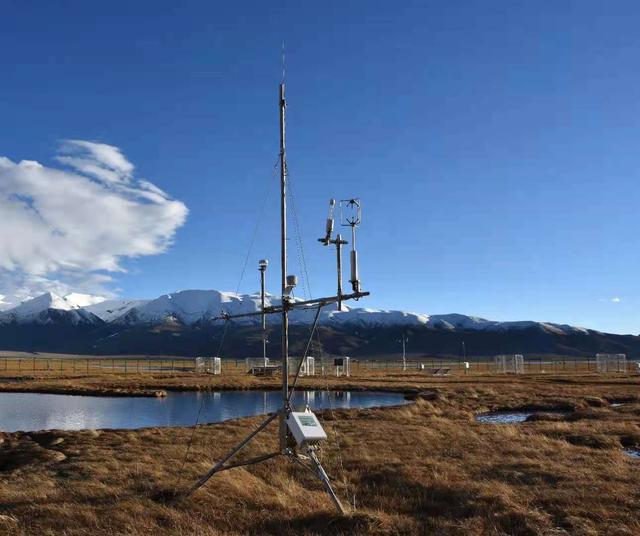  青藏高原高寒生态系统是重要“碳汇”且持续增强