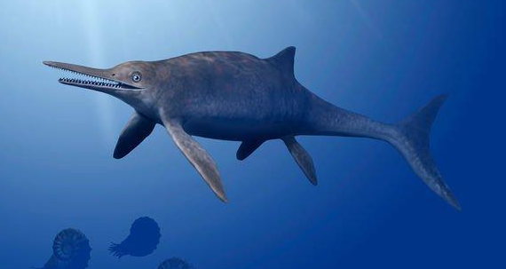爬行动物|鱼龙：中生代早期的类海豚海洋爬行动物