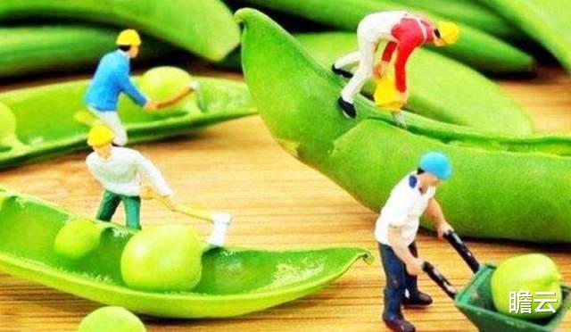 如果地球上除了人类,所有的生物扩大 100 倍体积,会发生什么?