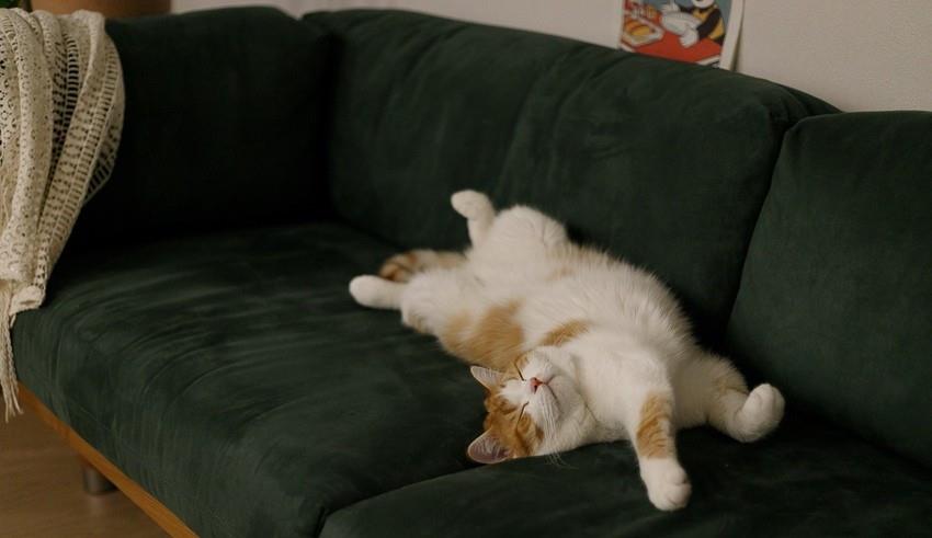 一眼相中这100㎡房,复古北欧风,客厅舍弃电视茶几,带孩子住刚好