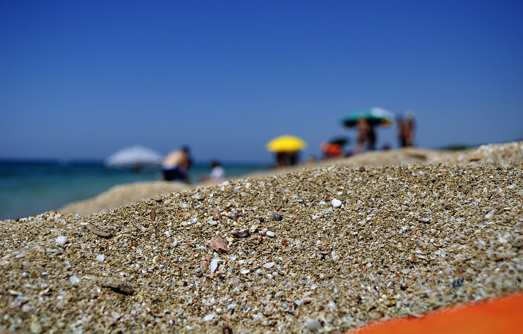 饵料|天时、地利、人和，夏季垂钓缺一不可（精髓）