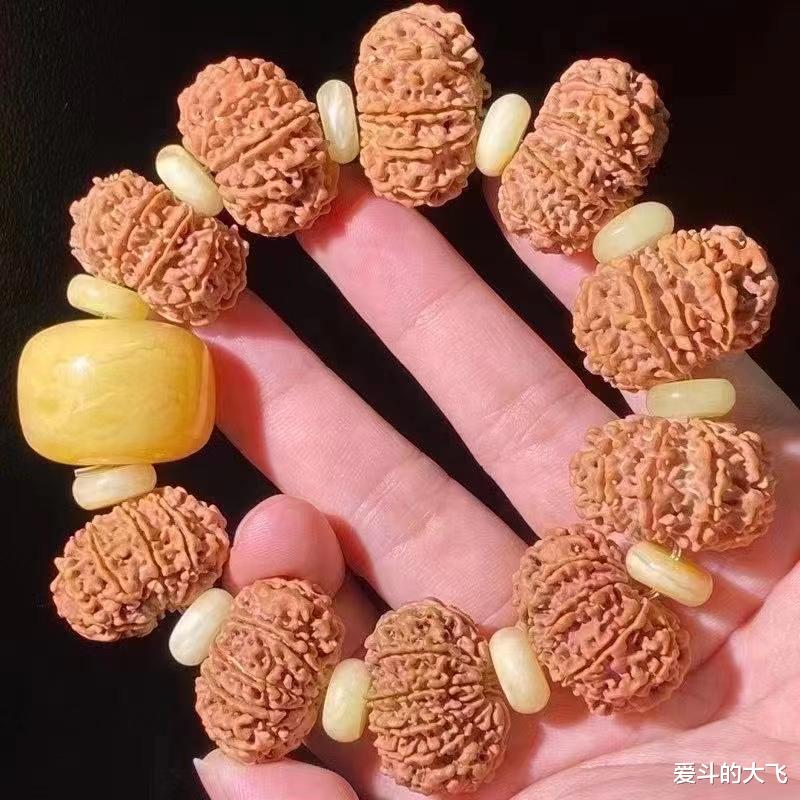 文玩|多瓣大金刚27尺寸，金刚文玩圈里不灭的神话！