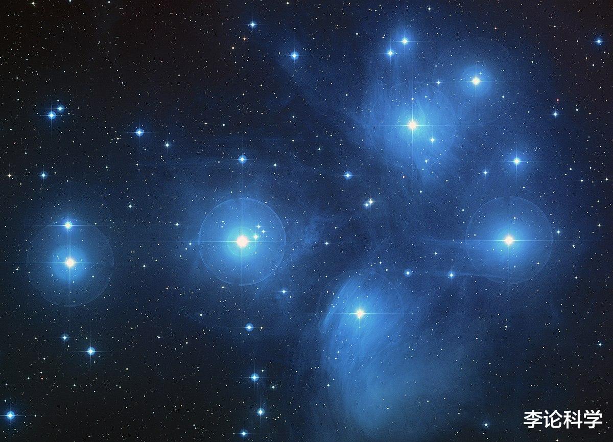 布氏鲸 宇宙10︱宇宙就是银河系，外面啥也没有？20世纪天文学大辩论