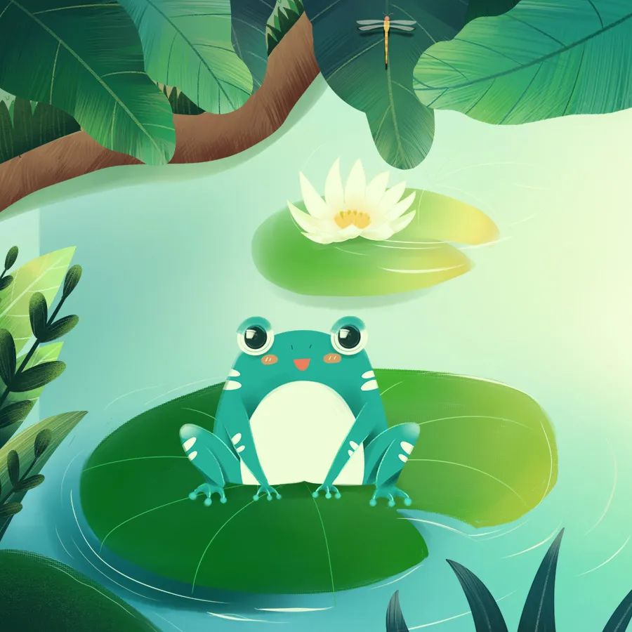 野生动物|人与自然和谐共生教育：野生动物（二）?