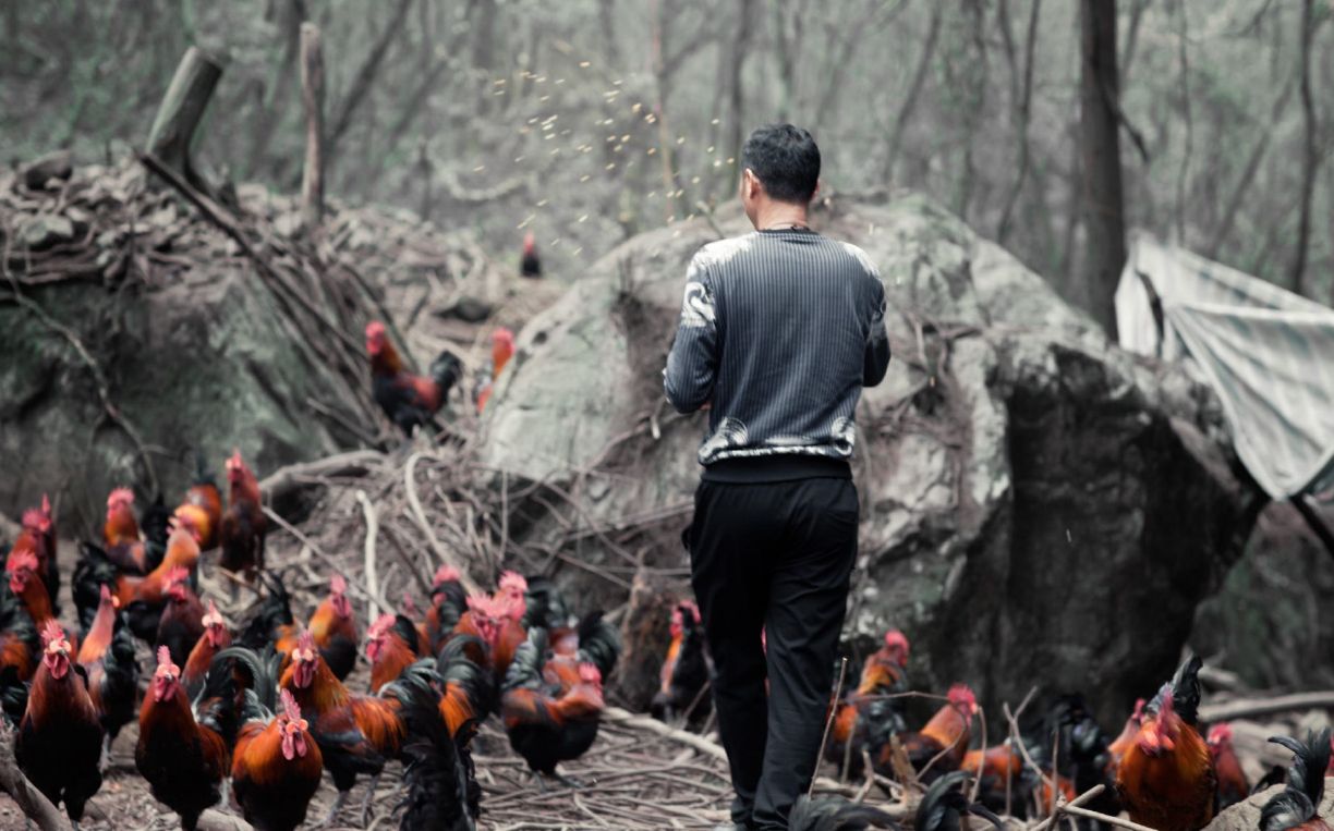 赵亮|“三德子”赵亮：娶小16岁娇妻，退隐13年养鸡，身家上亿仍开破车