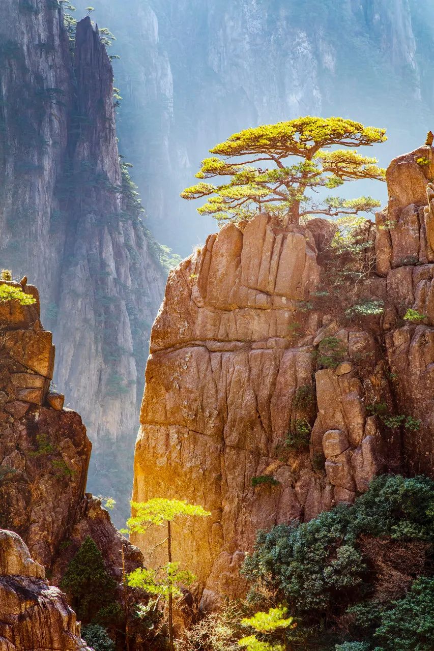 上海市 “中国最美的50个地方”榜单出炉!你打卡过几个?