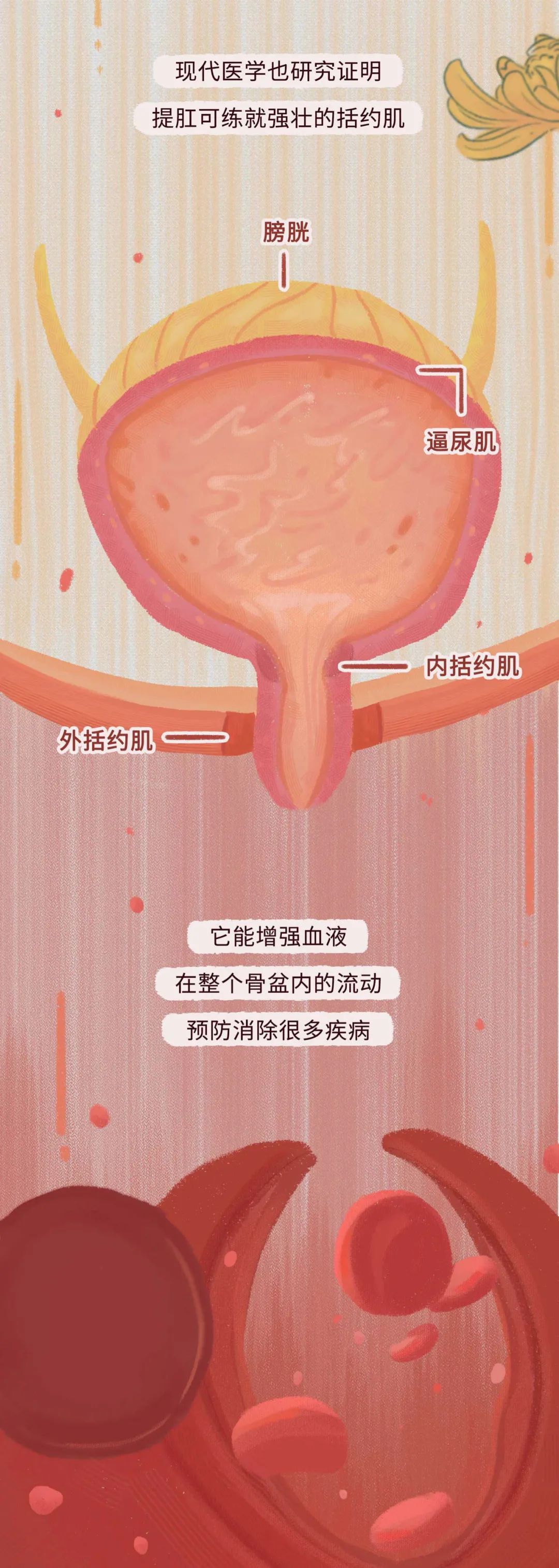 通便|有项运动风靡，经常做的男人能有多强？