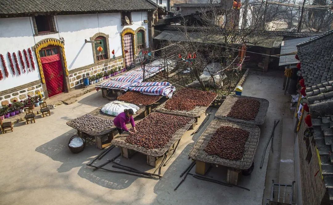 昆山|农村?宅基地包括院坝吗？院子能否进行确权？超面积了怎么办？?