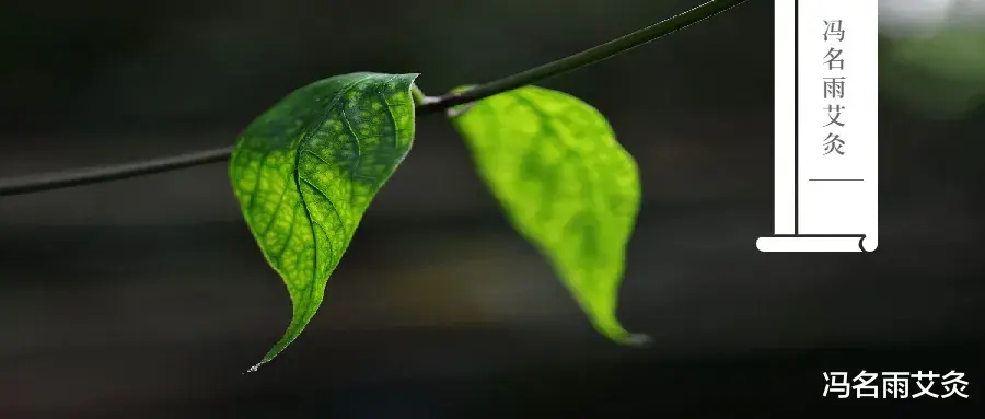 冯名雨艾灸|艾灸不当易上火？这四个操作让你后顾无忧