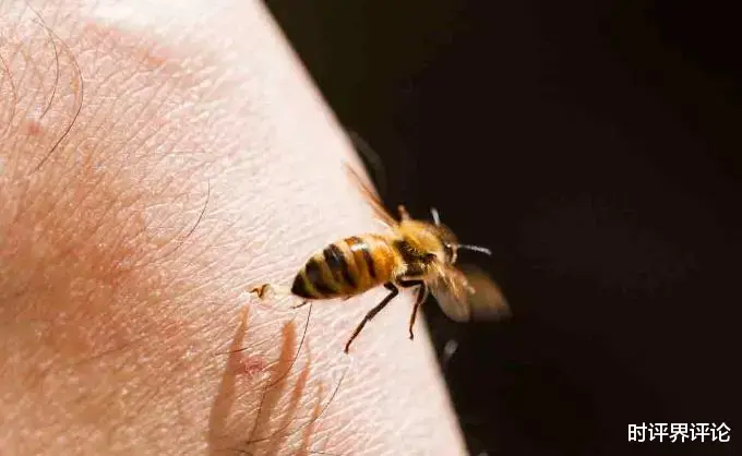 时评界评论 周志宏：“轻信土医‘蜂疗’致皮肤溃烂”的警示