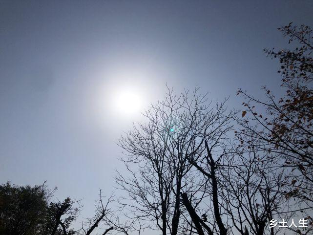 老人说:今年冬季是“少商在上,寒水在下”,啥意思?有啥预兆?