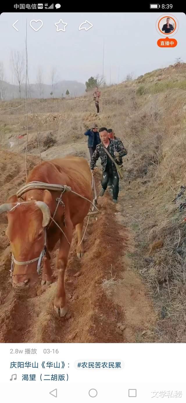 文学私秘 杨树行村番外篇18：“华山”助耕陇上行，“清哥”研读碟中谍