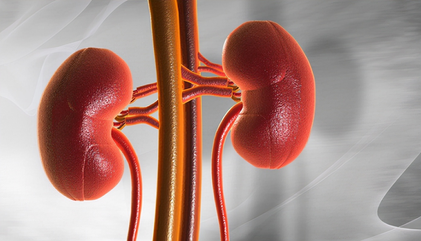 芹菜|降压“冠军”已公布，不是芹菜，每天吃一点，血压稳稳降