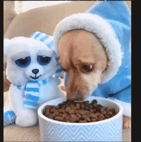 萌萌萌说|“爷爷床底找到的，值钱吗？”哈哈哈哈，祖上以前还是大户人家？