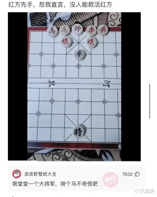 基因|“白化病的棕熊，每次被动保组织发现，都会送到北极！”