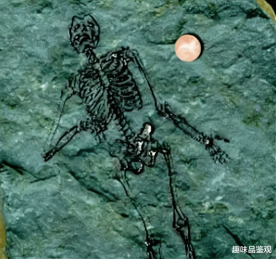 6亿年前人类化石被发现?南极有史前文明?人类或不愿承认(上)