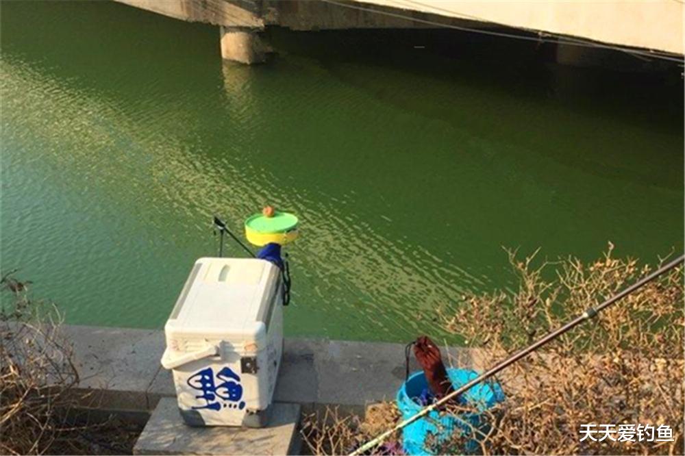 |冬季钓鱼，这4类钓点钓鱼人必争，都是天然鱼窝子，这里大鲫扎堆