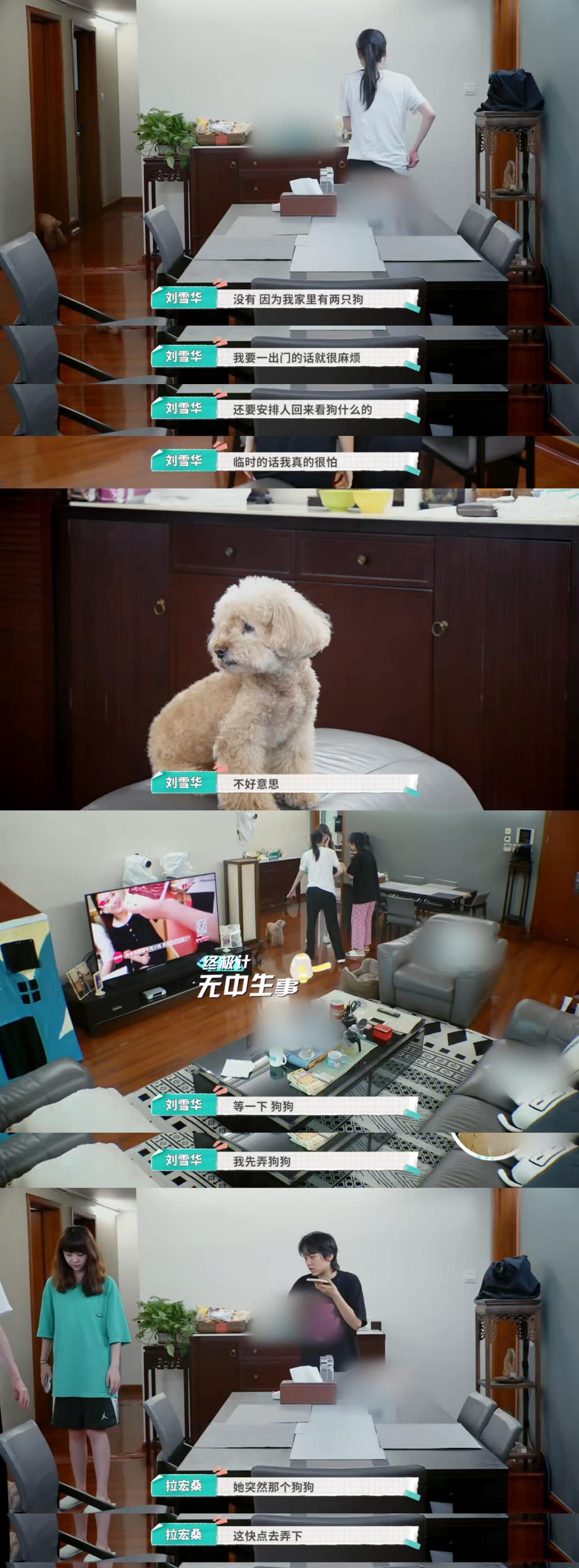 一只麦兜 《屋檐之夏》中,刘雪华不想出门社交哭了,社恐出门要做心理建设