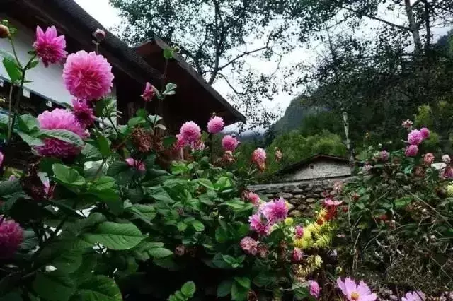 |乡村小院，装满生活的理想!
