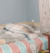 小秦星座|搞笑GIF：本来是个小狗狗，戴上面具变成小猫咪。