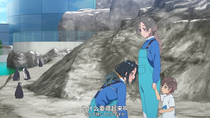 白沙的水族馆|《白沙的水族馆》剧情薄弱性看得人少，但动画精良期待的粉丝更多