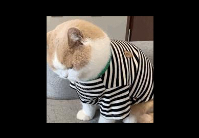 痘痘|痘痘豆豆快走开
