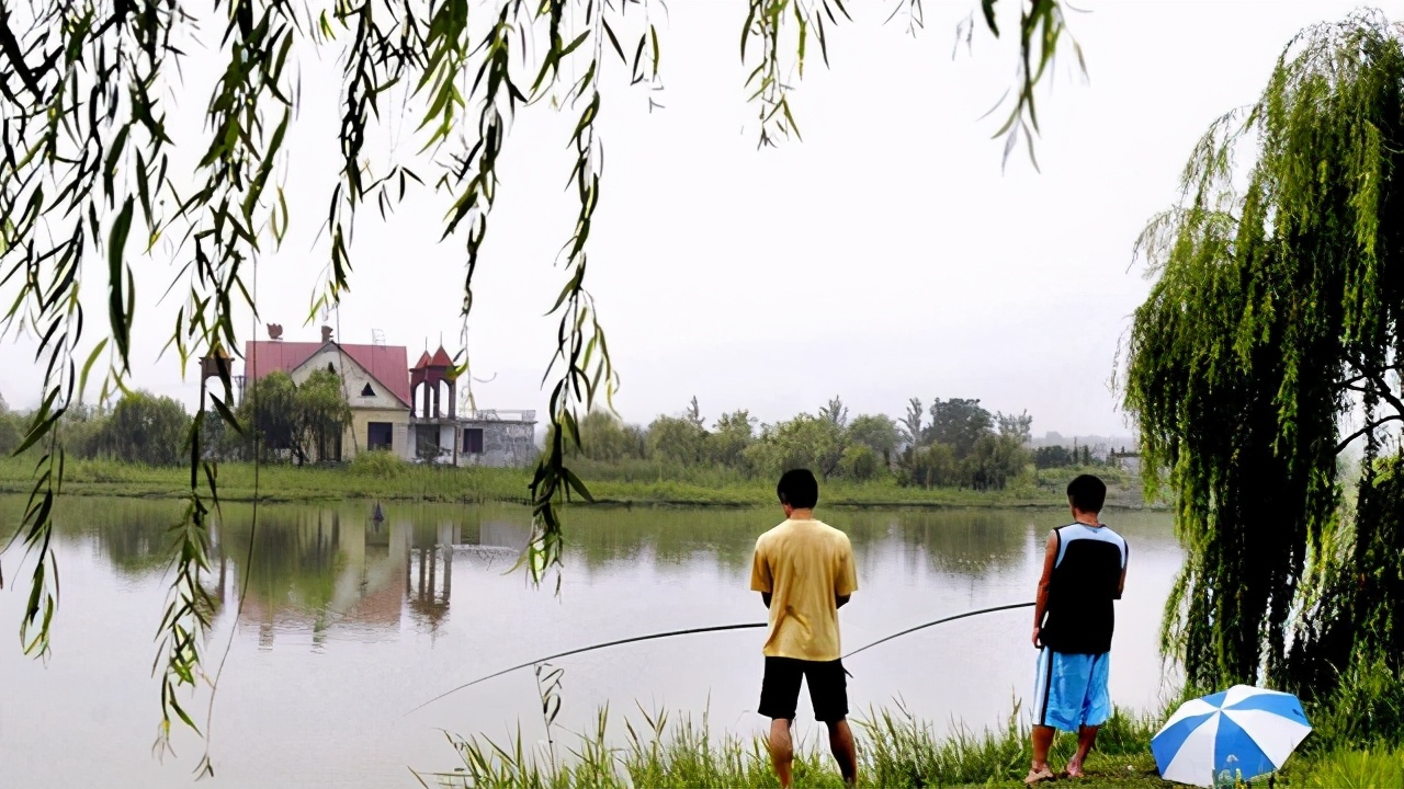 |人不舒适时鱼却感觉舒适，正是钓鱼的大好时机，千万别错过