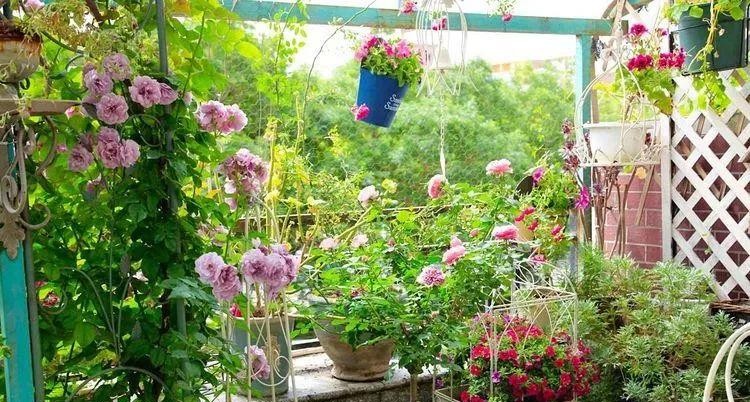 为了建花园，买了个带40㎡露台的顶楼房，入住四年如今美成了画