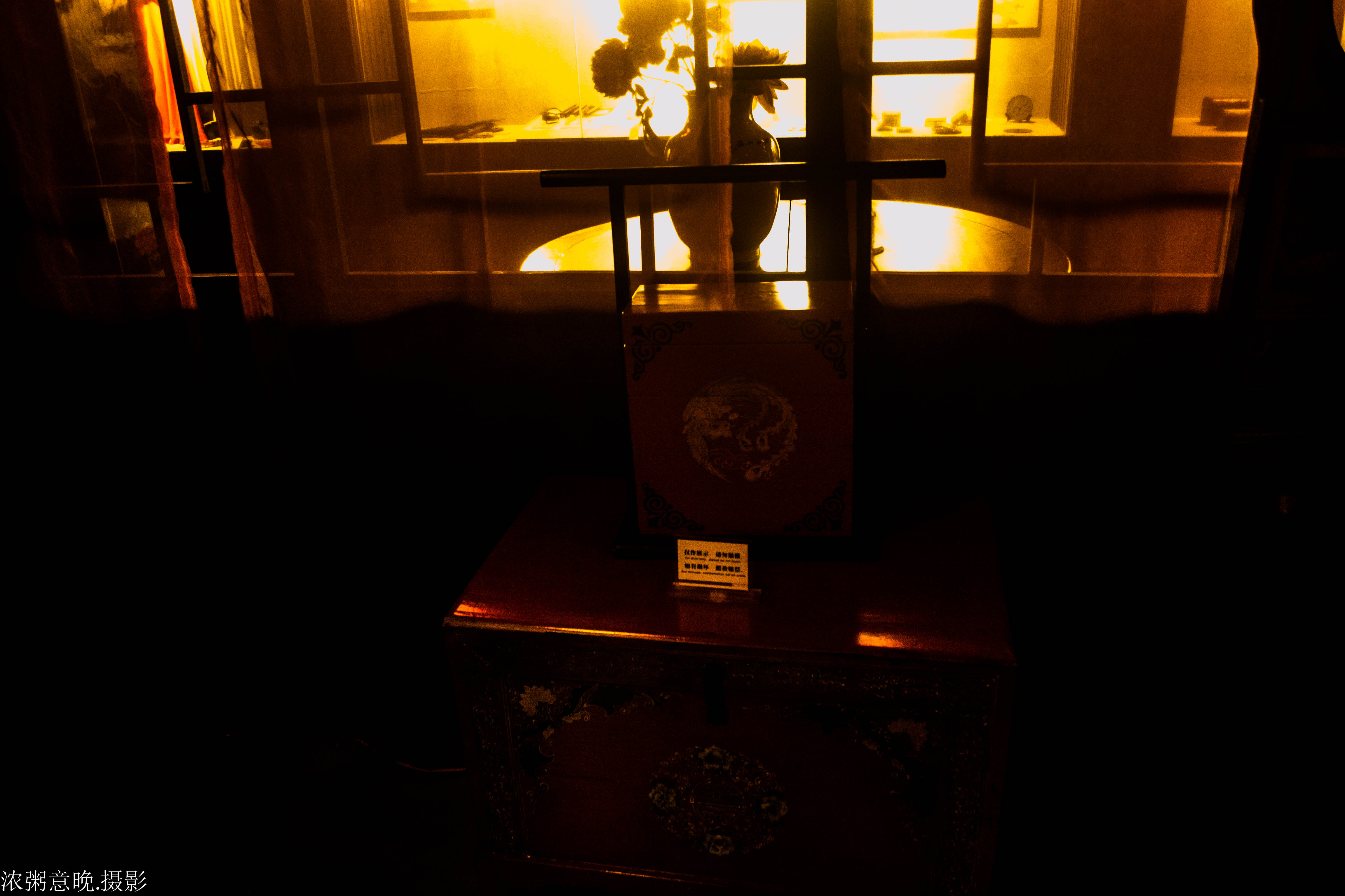 我是一只鱼|音乐鉴赏之任贤齐《我是一只鱼》：是否做一条游来游去的鱼，就好