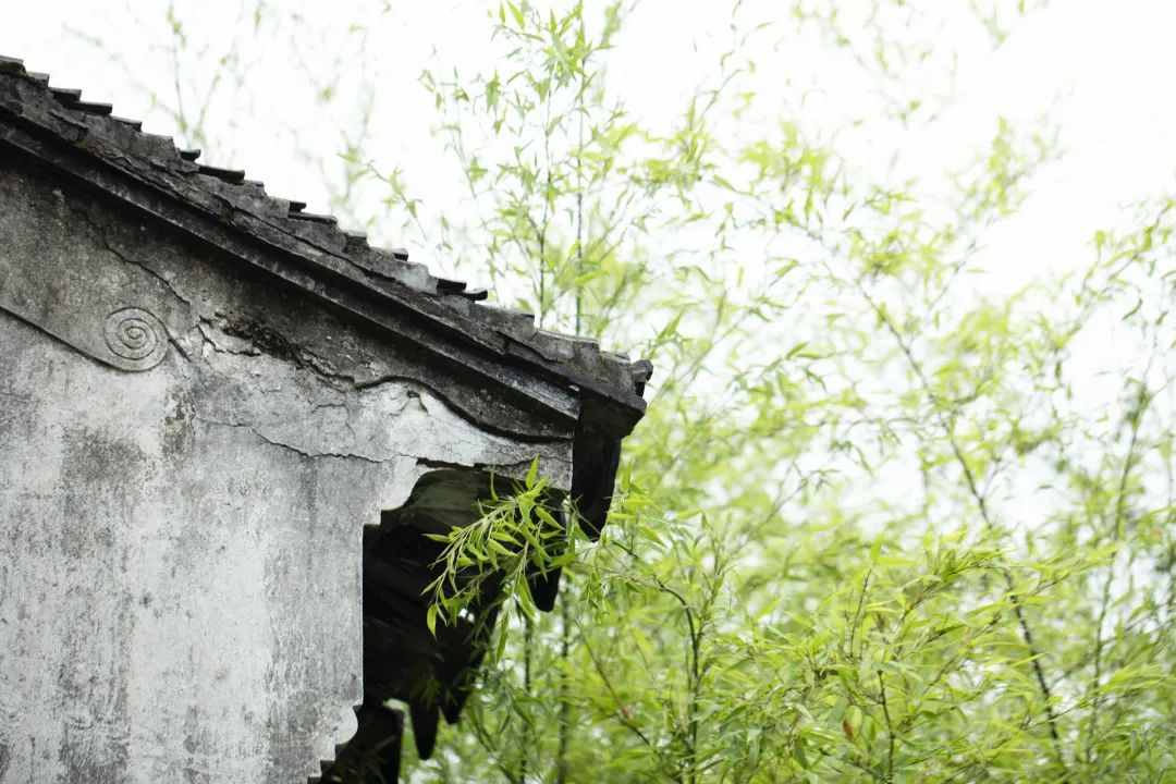劢健康|露从今夜白