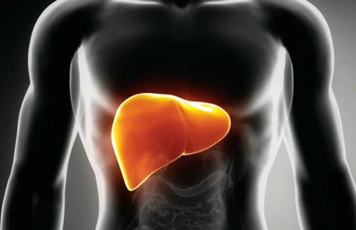 老姚说健康|想要养护肝脏，除了胡萝卜，还可多吃4种养肝食物，肝脏变红润