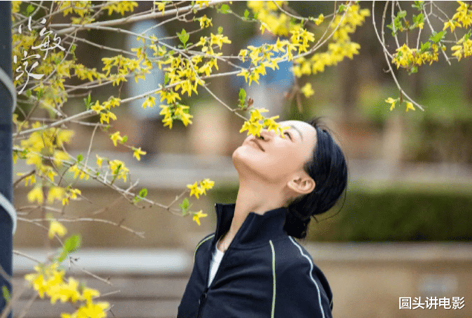 电视剧|电视剧收视率榜前三：《小敏家》跌至最后，第一收视高达2.578%