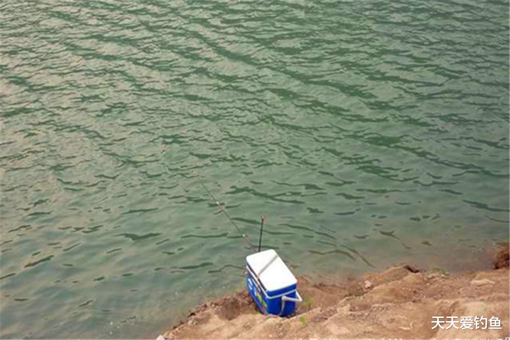 医生|盛夏野钓，这些钓位容易“爆护”，高温鱼难钓，选择钓位要多看看
