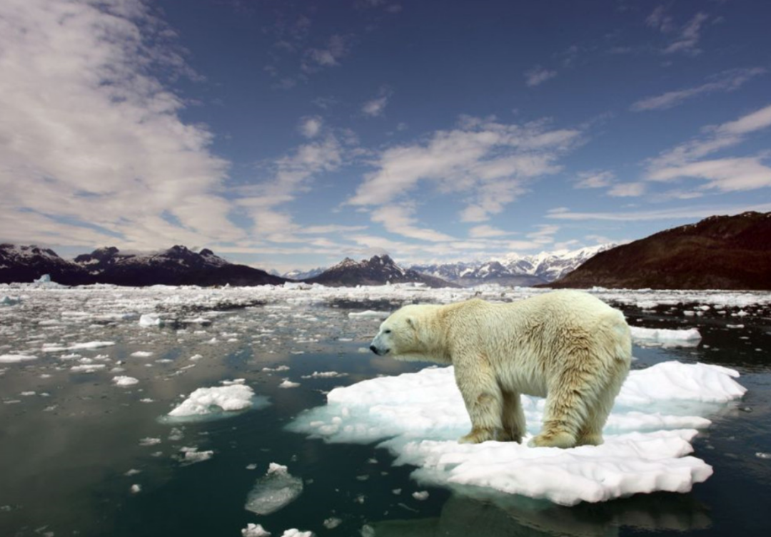 南极 南极冰架崩塌后，曾打开与世隔绝的“外星世界”？科考船奉命前往