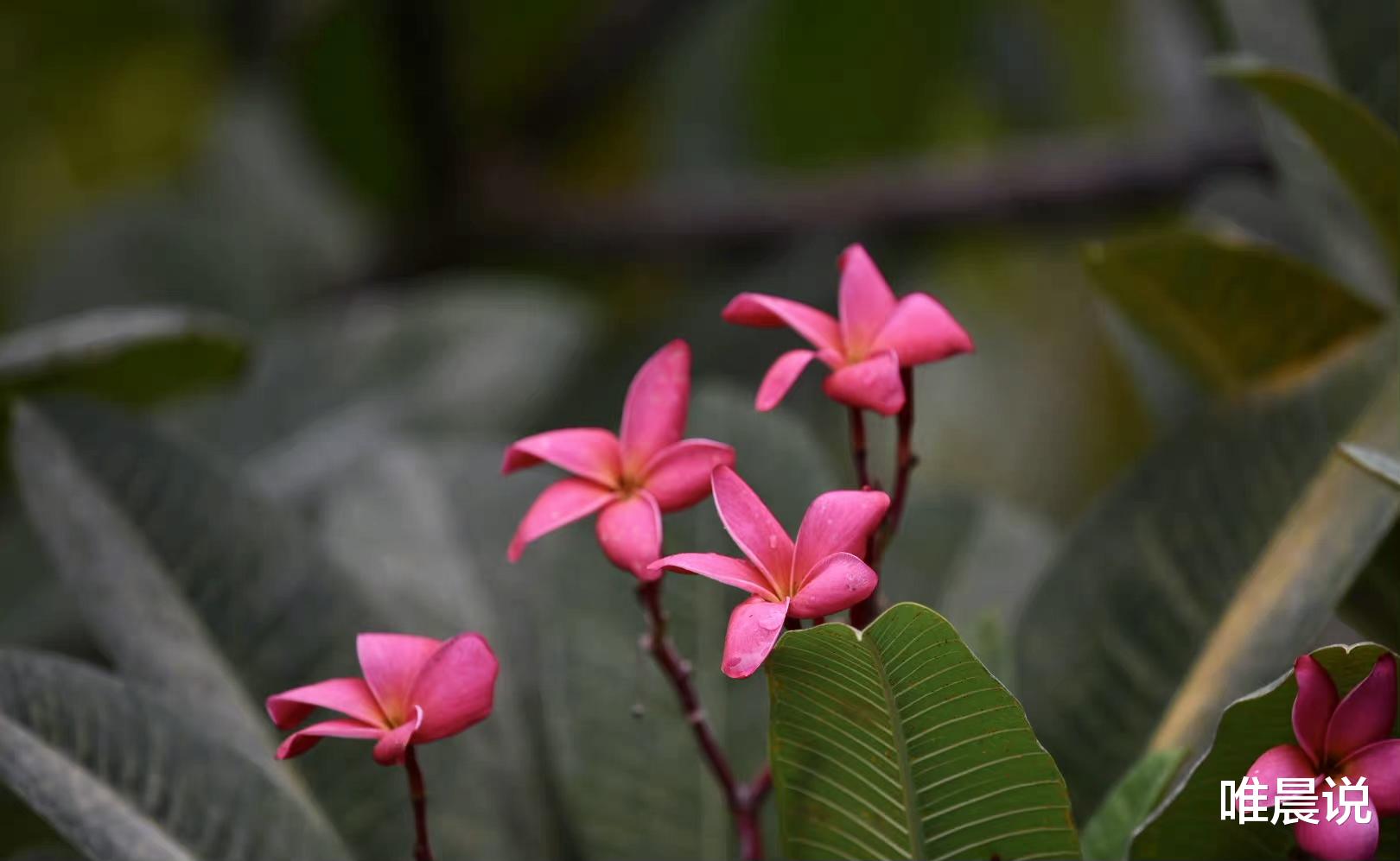 唯晨说 无论关系多好，在这4件事上都要守口如瓶