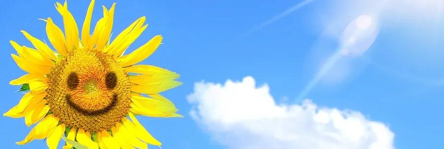 午美聊健康体态 这些你觉得很小的长期习惯，其实往往是癌症的推手！