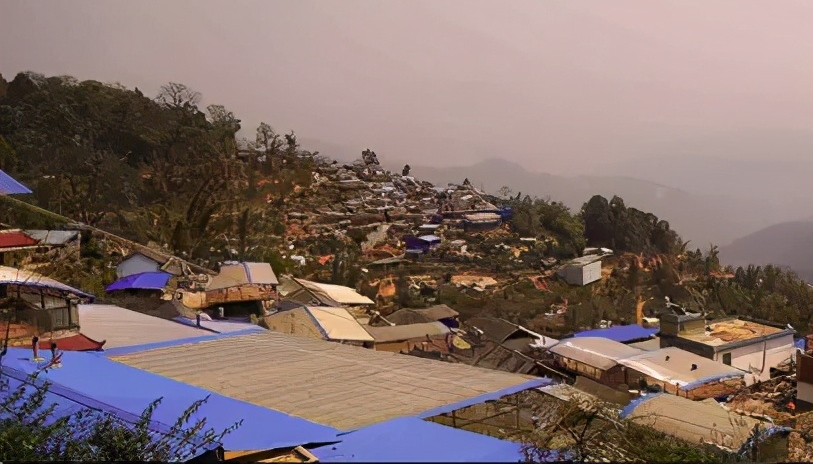 高原茗株茶业 小户赛!普洱茶圈最有仙气的茶