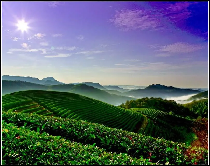 刑事拘留 7月19日 六月初十，十二生肖运势与注意事项