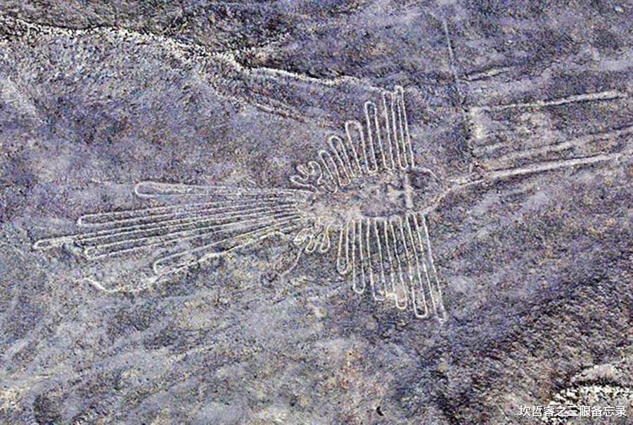 伽利略 巨大的无头鸟，频繁日食启示下的天空之眼，纳斯卡线生成的全系推理