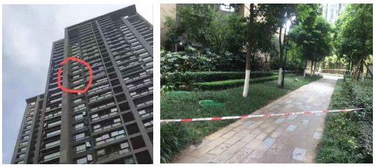 乐山|突击：我们暗中实查了时代青江小区的物业工作！