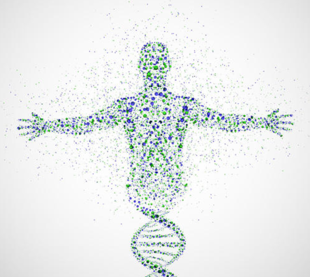 基因 基因决定人类死亡时间？科学家表示：人的寿命30%与基因有关！
