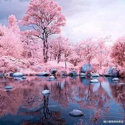 喵小喵情感故事会|一个神奇的包裹,叫“齐天大圣”,让齐老太感慨万千