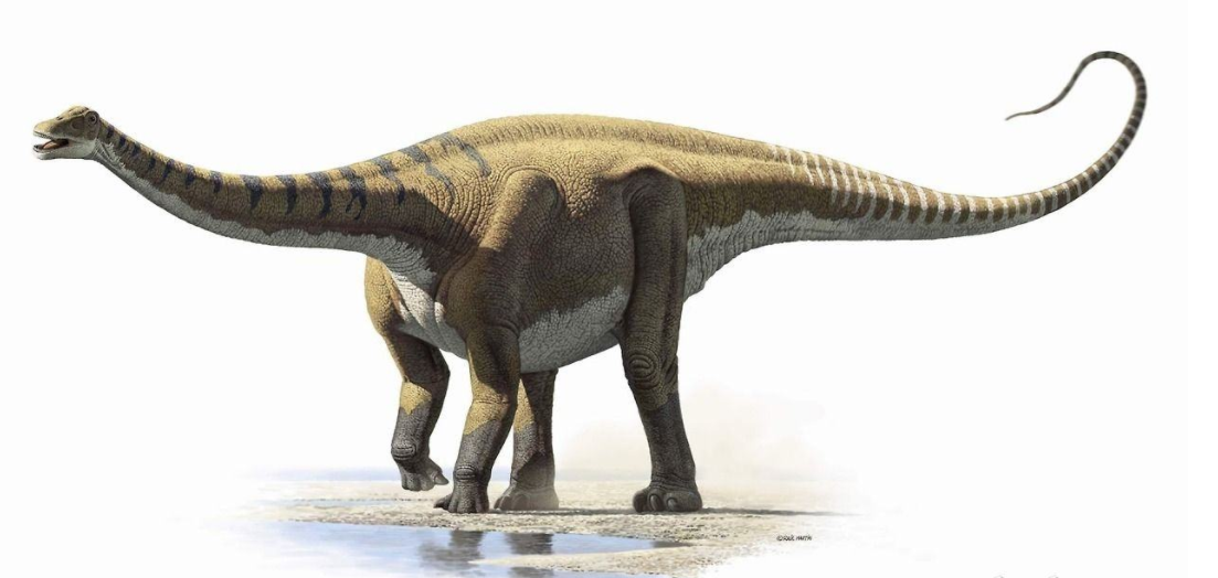 西班牙的恐龙和史前动物