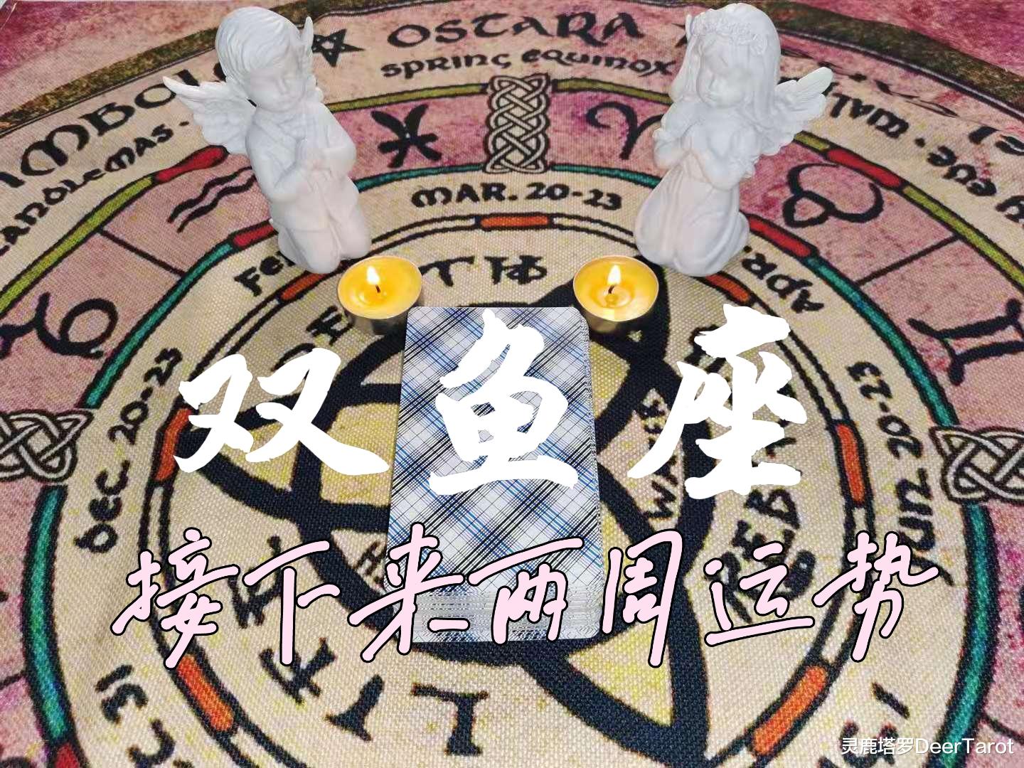 灵鹿塔罗DeerTarot|【双鱼座】-曾经想要依赖的人，其实并不可靠