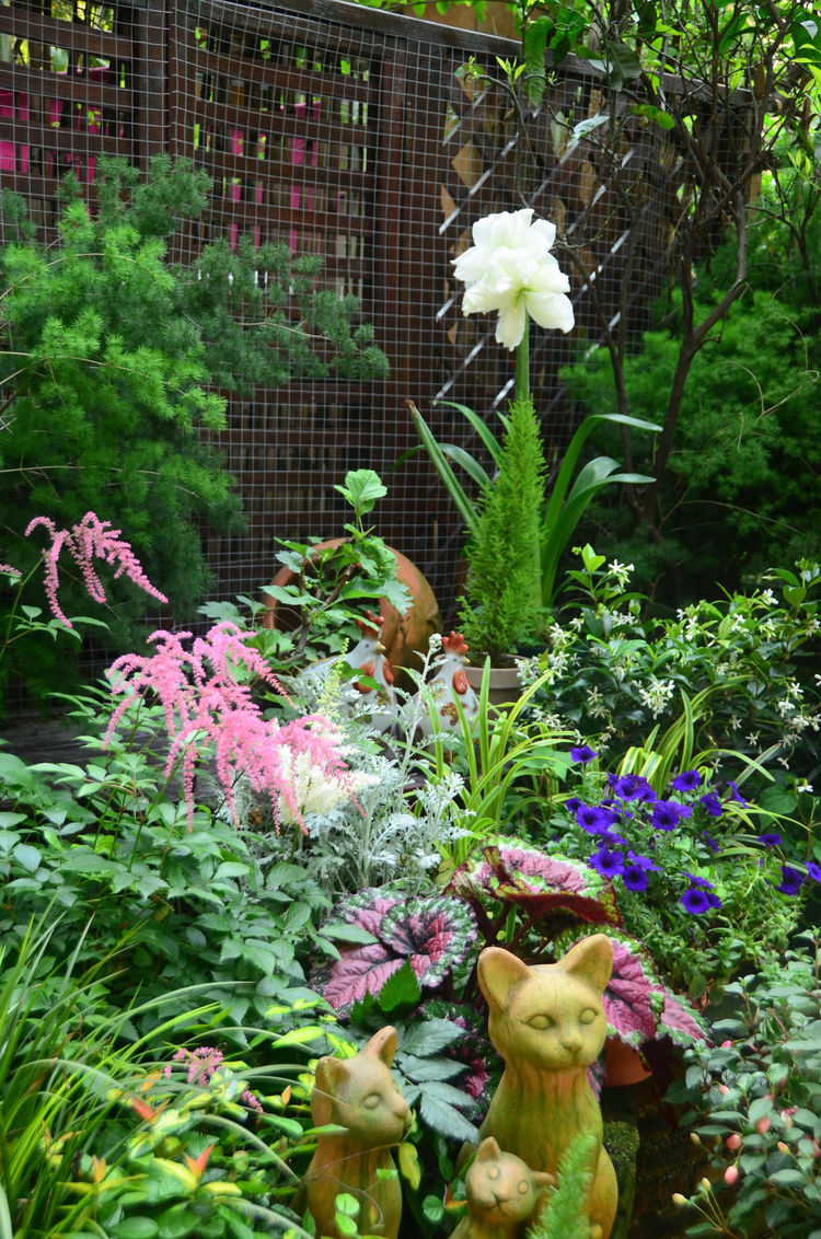 18年房龄的老房子，50㎡花园改造后，成了家人朋友最爱待的地方